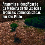 Anatomia e Identificação da Madeira de 90 Espécies Tropicais comercializadas em São Paulo