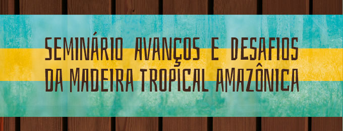 Seminário em São Paulo (SP) discute produção e comercialização de madeira legal e certificada no Brasil